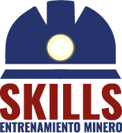 Aulavirtual Academiaskills