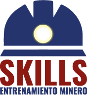 Aulavirtual Academiaskills